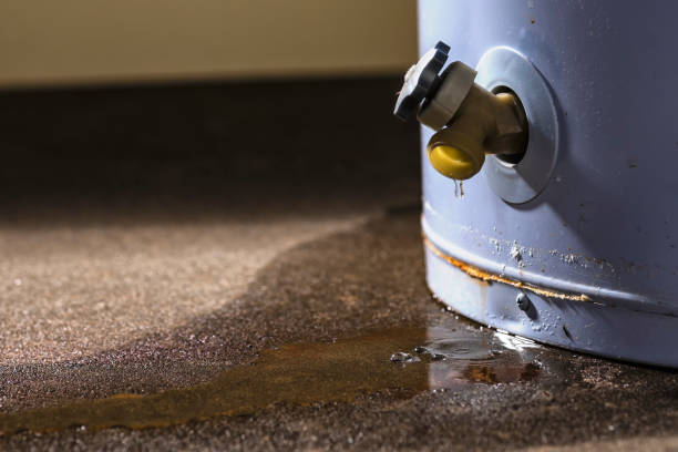 Best Emergency water damage restoration  in Sorgho, KY