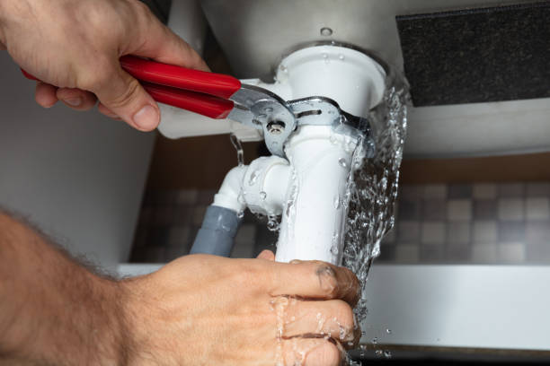 Best Professional water damage repair  in Sorgho, KY