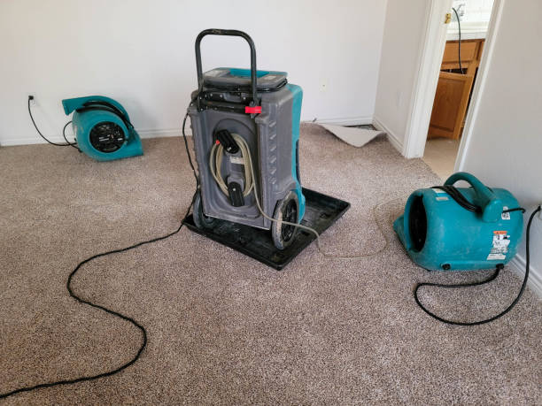 Best Local water damage restoration  in Sorgho, KY