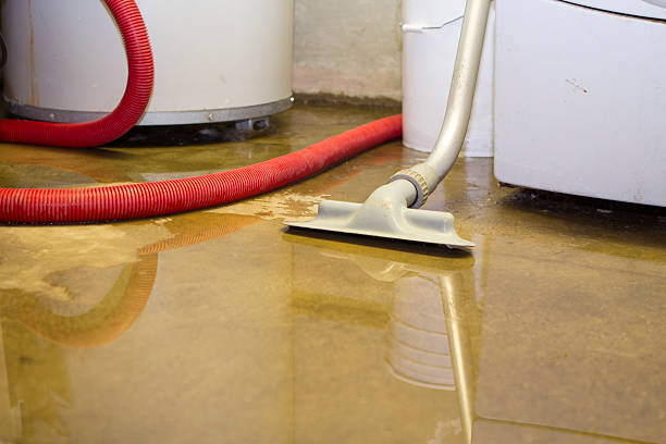 Best 24-hour water damage restoration  in Sorgho, KY