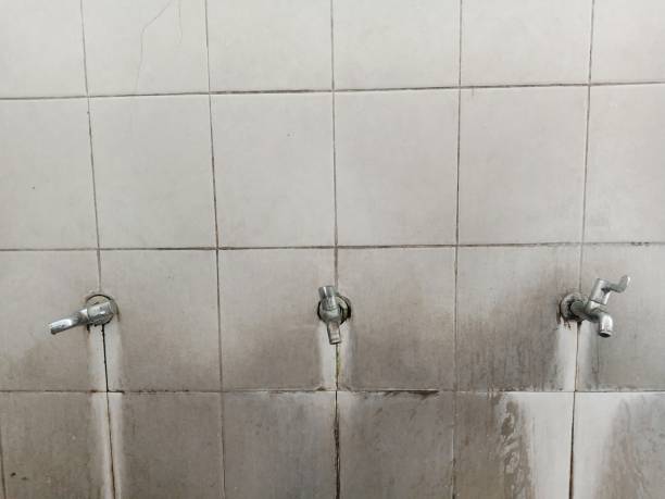 Best Flood restoration services  in Sorgho, KY