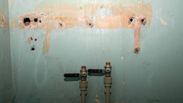 Best Commercial water damage restoration  in Sorgho, KY
