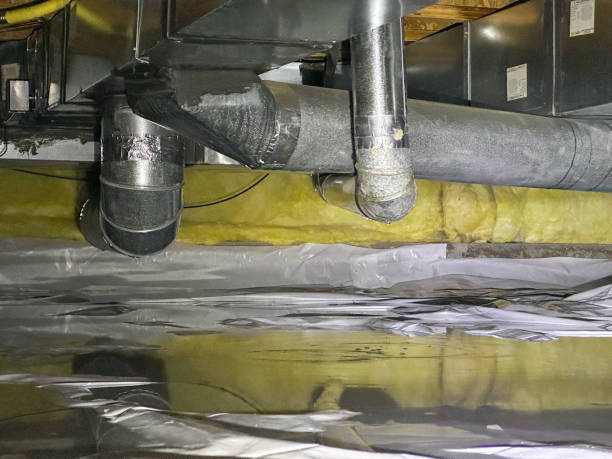 Best Carpet water damage restoration  in Sorgho, KY